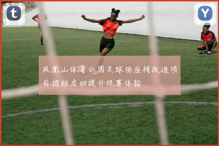 凤凰山体育公园足球场座椅改造项目招标启动提升观赛体验
